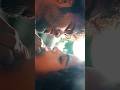 Dragon Status Pradeep Status Shortsviral Dragon Anupama Music Romaticstatus Kiss