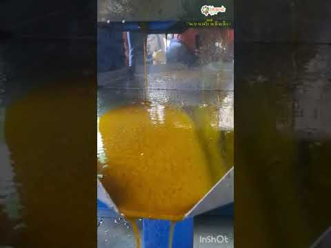 Cold Press Ground Nut Oil Extracting Machine, Capacity 150kg/hr