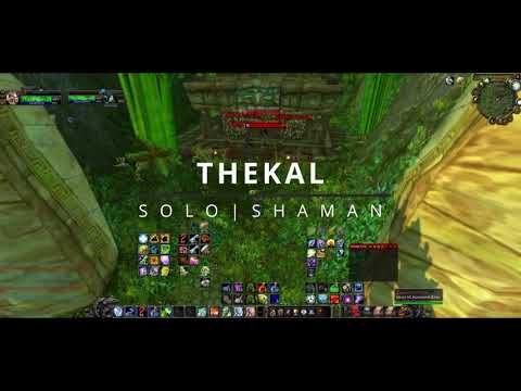 Resto/mitigation shaman solo tiger boss Thekal in ZG - Full kill and guide (TBC P1 level 70)