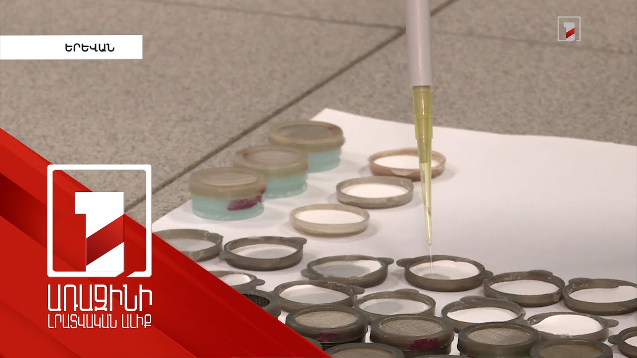 Երևանում օդը թույլատրելիից ավելի աղտոտված է, բայց դեռ վտանգավոր սահմանին մոտ չէ