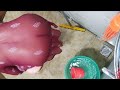 My First Bathing Vlog Bathing Dailyvlog Desivlog Try On Haul Bathing 2025 Letest New
