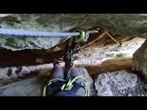 Kami[n]kaze & Hara[ld]kiri