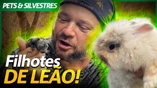 Miniatura do vídeo