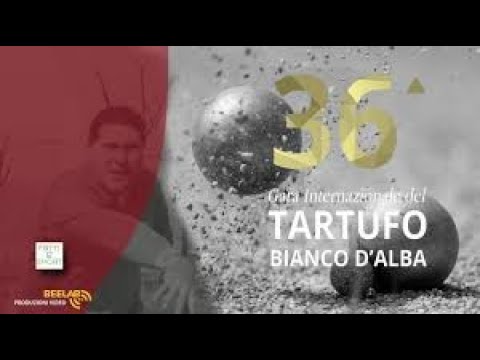 Bocce : Quarti di Finale - Gara Internazionale Tartufo Bianco Alba - 14° Memorial U. Granaglia