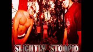 Slightly Stoopid- Officer