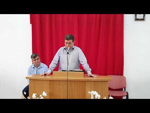 Nicu Stoia  -  O telegramă în gura unui porumbel