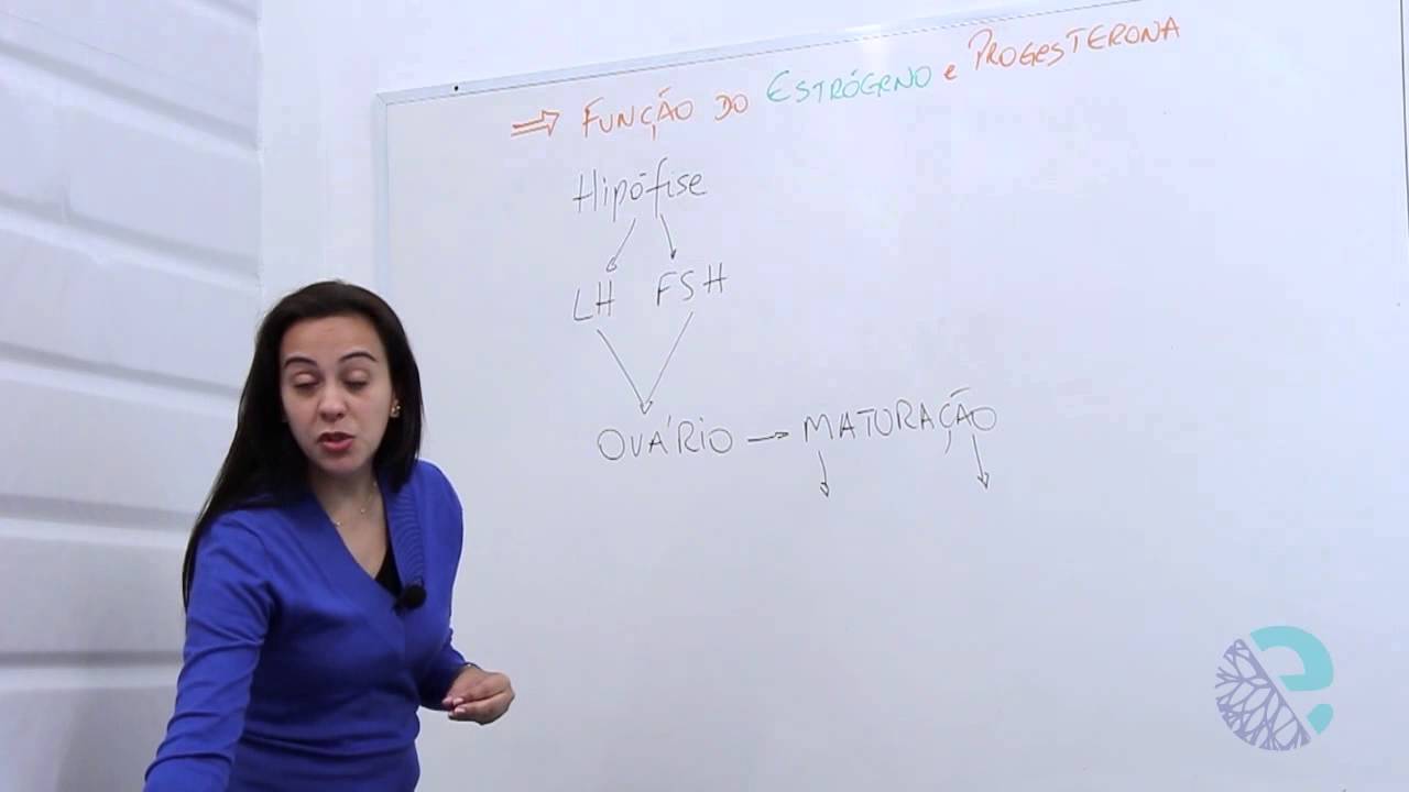 Função do estrógeno e progesterona