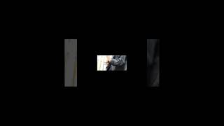 【#TheBeginning】【#ワンオク】【#shorts】【#永久機関】#完全感覚Dreamer プロフよりYouTube へ飛べます！#ワンオク #ワンオク好きと繋がりたい #ワンオクロック