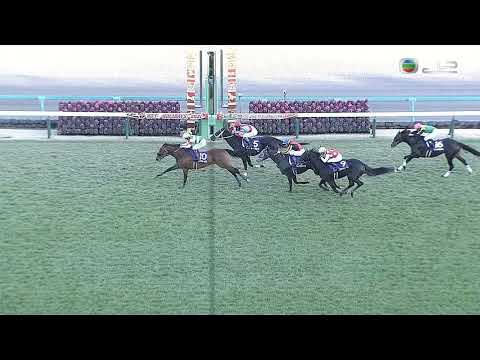 日本有馬紀念賽 Japan Arima Kinen 一級賽 G1 2021-12-26 2500m 樂透心 Efforia 中山競馬場 Nakayama Racecourse