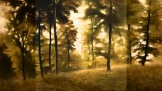 Hugo Alfvén: Swedish Rhapsody Nr.1, op.19 "Midsommarvaka"