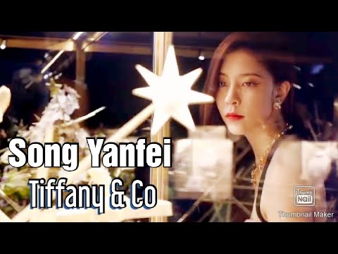 Cecilia Boey (Song Yanfei/ 宋妍霏) Tiffany & Co Blue Book Fine Jewelry event