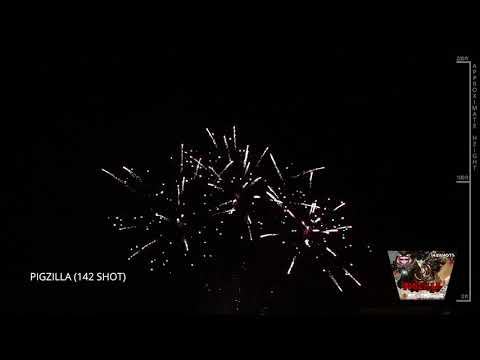 Pigzilla - 142 Shot