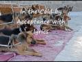 In the Cold by Acceptance with lyrics
