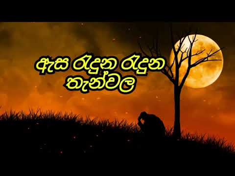 Asa Raduna Raduna Than Wala ( ඇස රැදුන රැදුන තැන් වල ) Lyrics Video - Cover by Api Machan