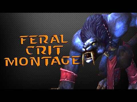 Rapidy - WoD 6.2.3 Feral Druid PvP CRIT Montage