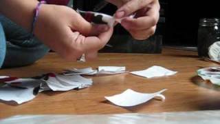 Esse Quam Videri, AnnMarie