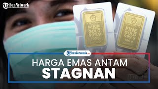 Harga Emas Batangan Antam Kamis 25 Agustus Stagnan di Level Rp 972 000 Per Gram