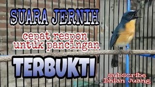 Download lagu Tledekan Gunung...||Suara jernih membuat burung ombyokan CEPAT RESPON ikut bunyi. mp3