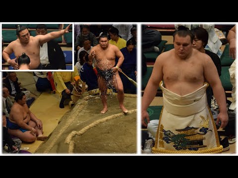 Onosato, Hoshoryu, Aonishiki latest + why can Enho keep his name? (Sumo News, Dec 28th)