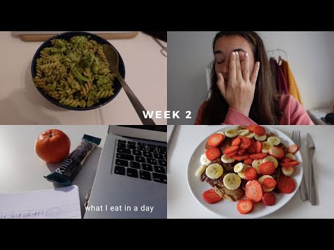 3O DNÍ VEGANSTVÍ | part 2: what I eat in a day & vegan life update