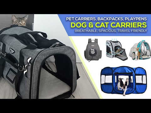 Best Cat Carrier Bags for Travel - Cat Backpack Carrier Reviews