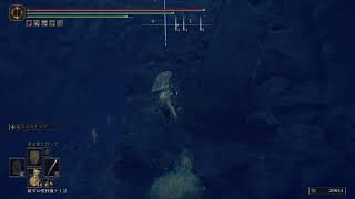 [エルデンリングDLC]攻略少しだけ