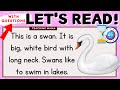 LET S READ READING COMPREHENSION QUESTIONS ANSWERS PRACTICE READING ENGLISH TEACHING MAMA