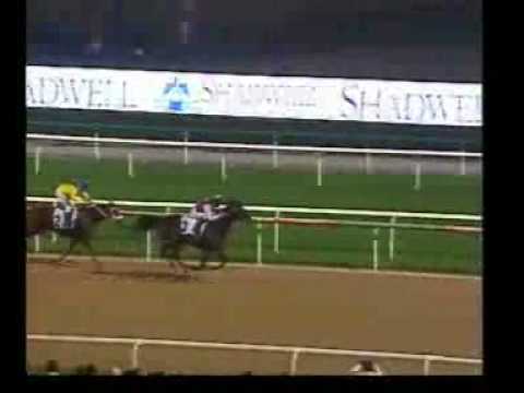 SOS BRILLANTE - 2009 Nayef Fillies [Cd - 1400 mts]