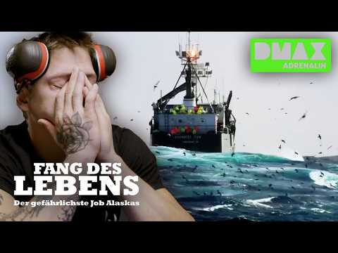 Der gefährlichste Job der Welt!? 😳⛴️ | COMPILATION  | Fang des Lebens