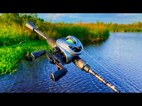 Best BFS Setup Under $200? (Kastking Kestrel BFS Rod & Reel Review)