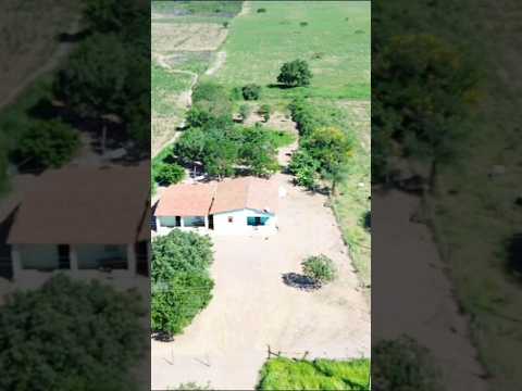 vendo barato essa maravilha de sítio em bodoco pe Tamanho 3mil metro quadrado 8799102 3154