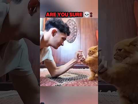 The best aura moment 🥶 #cat #respect #shorts