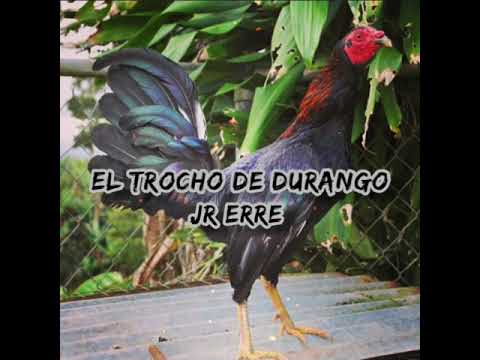El Trocho de Durango #JrErre #2020