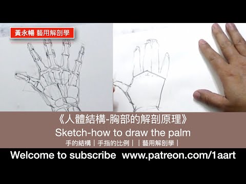《素描-怎樣畫手掌》Sketch-how to draw the palm｜#黃永暢（香港＋國語）直播，素描直播｜怎樣畫人體｜人體比例（香港＋國語）直播｜