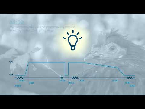 SKOV - Flexible Light