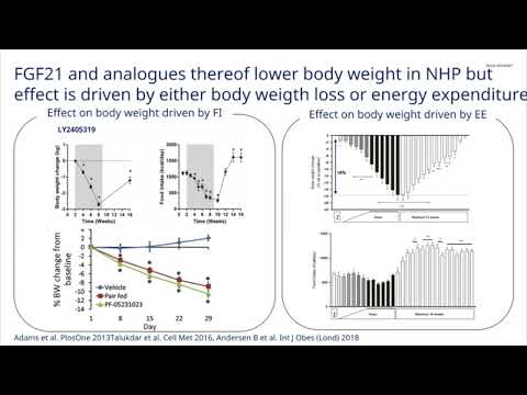 Day 2 - Video 18: Glucagon, FGF21 and SGLT2inhibitors – Friends or Foes by Birgitte Andersen
