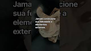 A Felicidade Não Deve ser Associada a Elementos Externos