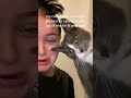 My Cats Meow Is So High Pitched So I Always Make Fun Of Him For It Until Now Tiktok Missamelia Jane