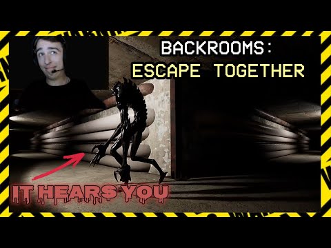 THIS MONSTER CAN HEAR YOU (Backrooms Escape Together Ep. 4)