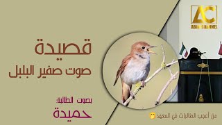Download lagu 🆕‼️Shautu Shofirilbulbuli- صوت صفير البلبل | versi Santriwati Ponpes Anas Bin Malik Lombok | Hamidah mp3
