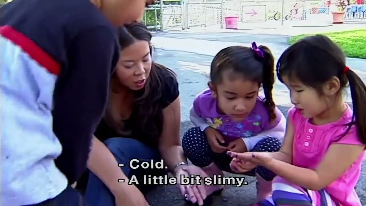 7. Encourage Use of Home Language at Home and in Preschool