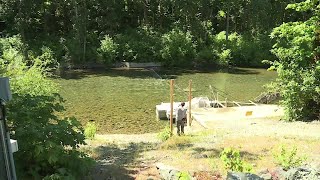 Officials call for help in protecting fish in Vancouver Island rivers and streams