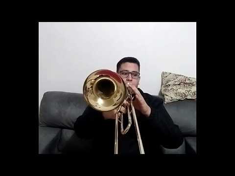 Hino 252 video
