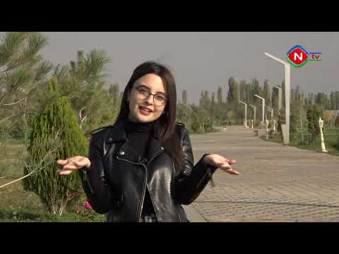 Birlikdə öyrənək - 29.10.2022