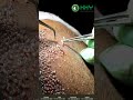 Hair Transplant Cost In India