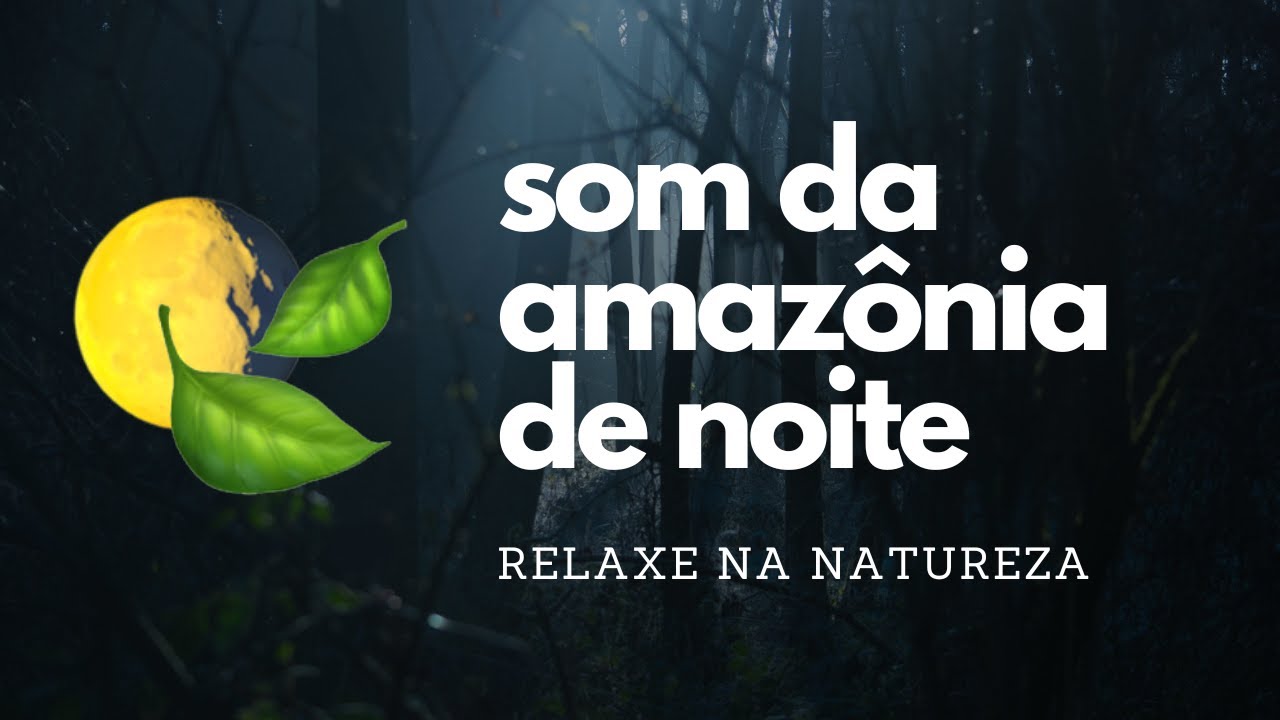 🍃 Som da Floresta Amazônica De Noite (Som da Natureza para Relaxar e Meditar)