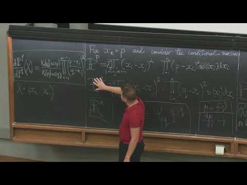 Determinantal point processes - IV