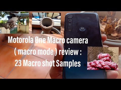 Motorola One Macro camera ( macro mode ) review : 23 Macro mode Samples.