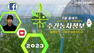 [ 주간농사정보 ] 8월 2째주 (2023. 08. 07. ~ 08. 13.)