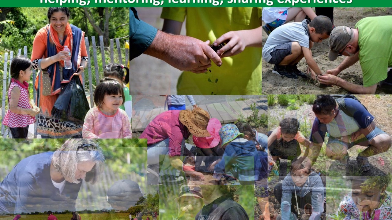 Check out the Growing a Wild NYC program in action on YouTube!